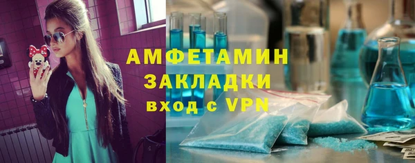 индика Балахна