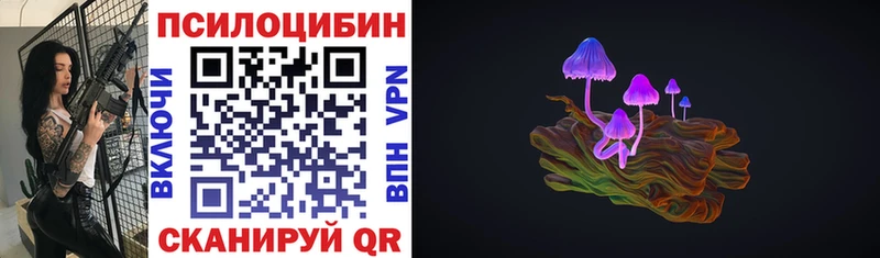 Галлюциногенные грибы Cubensis  купить   Жиздра 